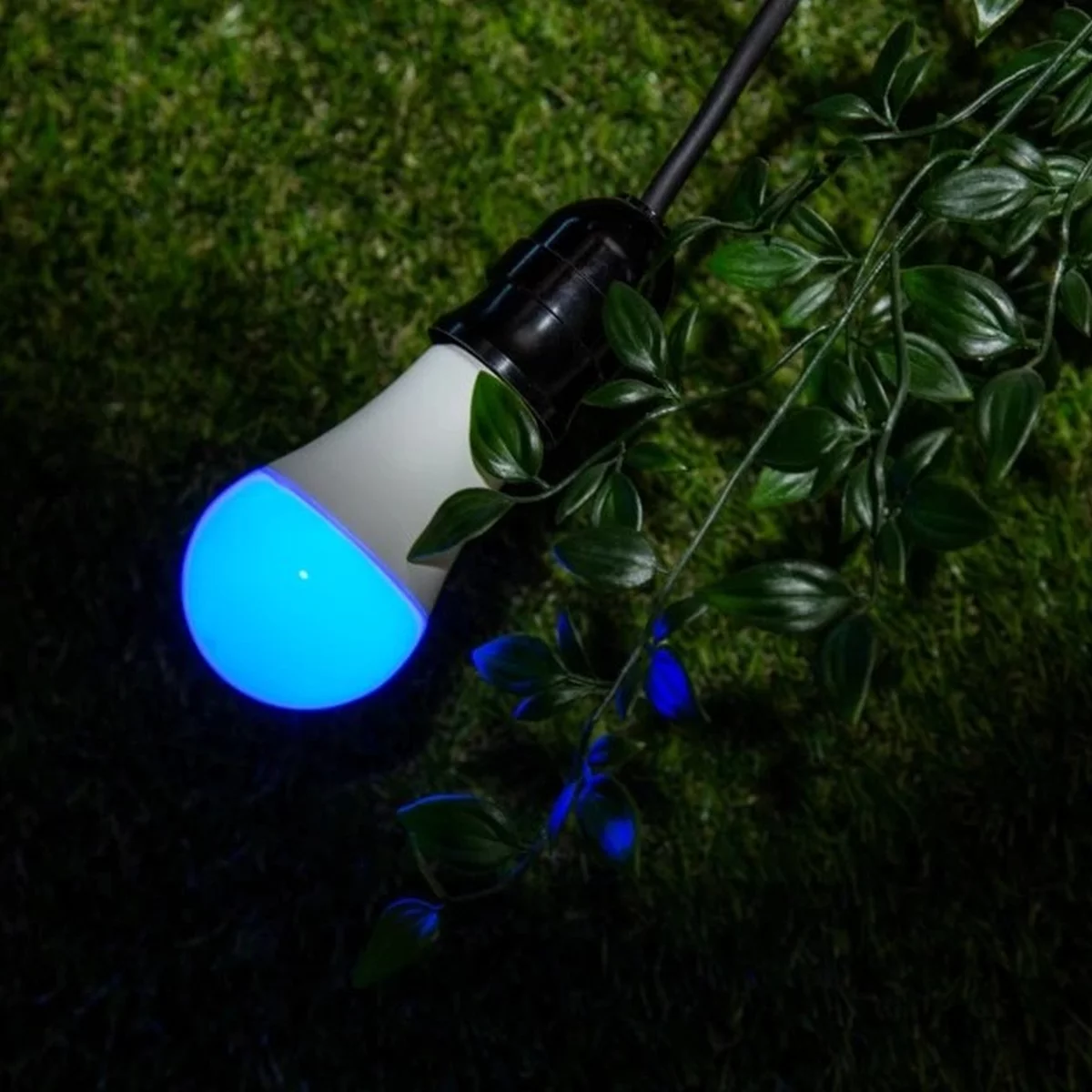 Home Shelly Plug & Play Beleuchtung “Duo RGBW“ WLAN LED Lampe