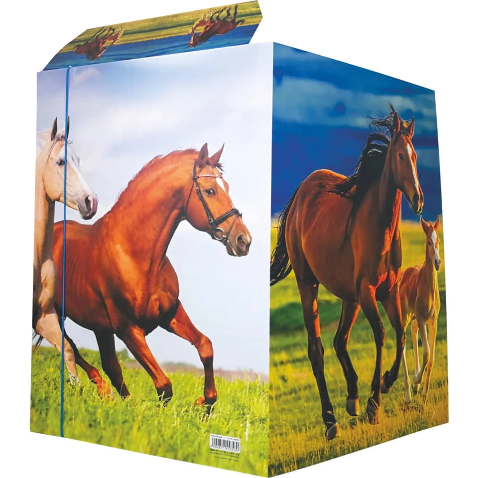 RNK Verlag Zeichenmappe Free Horses - A3, 3 Klappen mit Gummizug, Karton